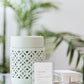 Lemon Fresh Soy Wax Melt