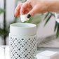 Welcome Home Soy Wax Melt
