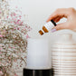 Raspberry Lemonade Diffuser Blend