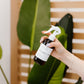 Coconut Bay Room + Linen Spray