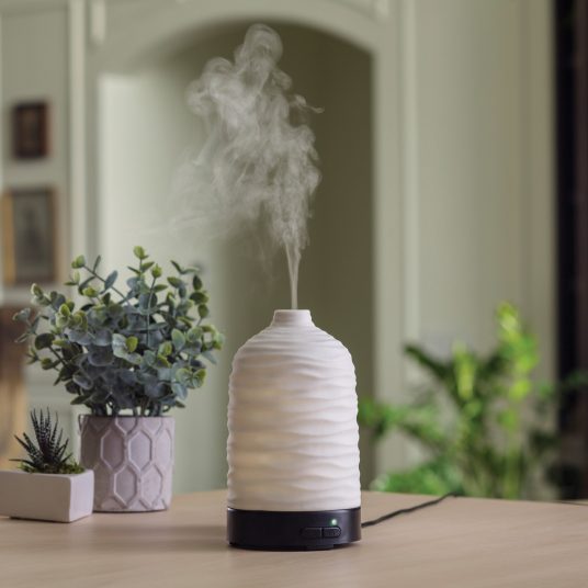 Classic White Diffuser – Wild Flicker