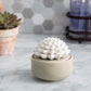 Succulent Diffuser