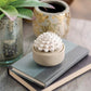 Succulent Diffuser